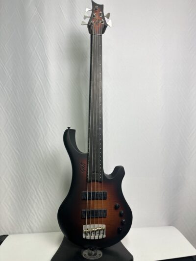 Fretless FeTi Fly5
